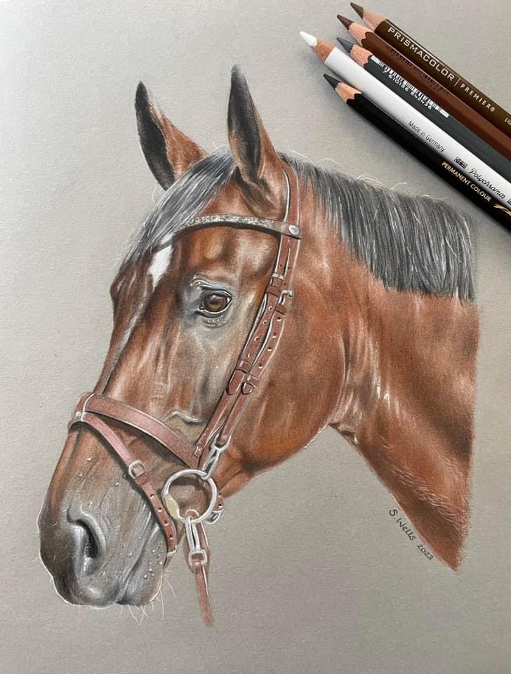 Horse Portrait